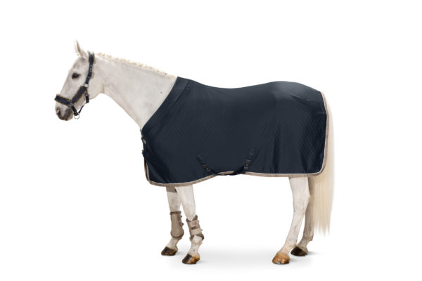 Eskadron Aerial Jersey Classic Sports