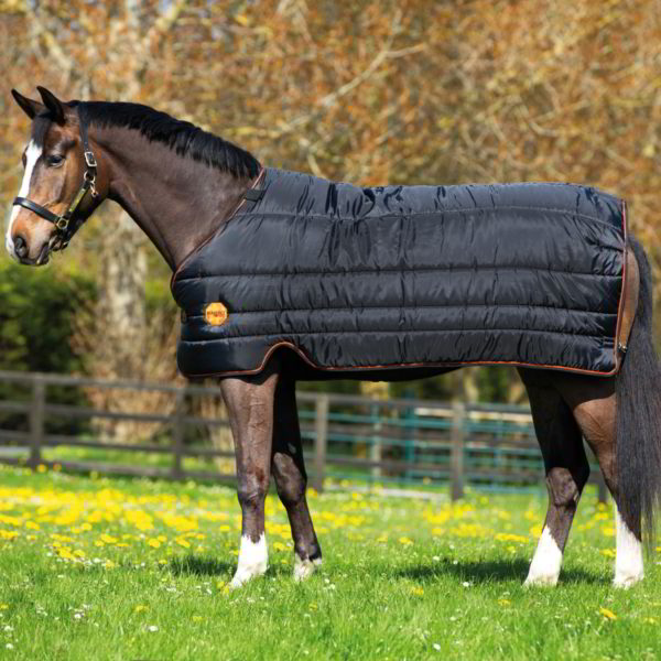 Horseware Rambo Ionic liner 100g